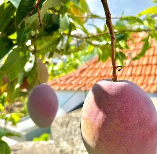 Casa Juliana * リベイラ・ブラーヴァ