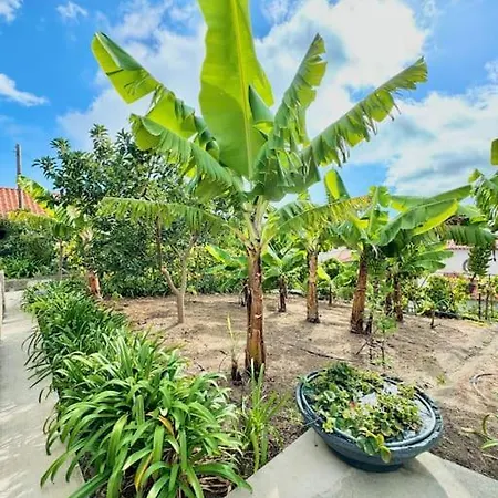 Casa de Férias Casa Juliana *
