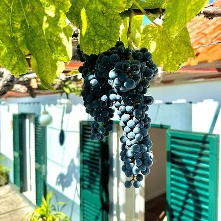 Дом отдыха Casa Juliana Рибейра-Брава