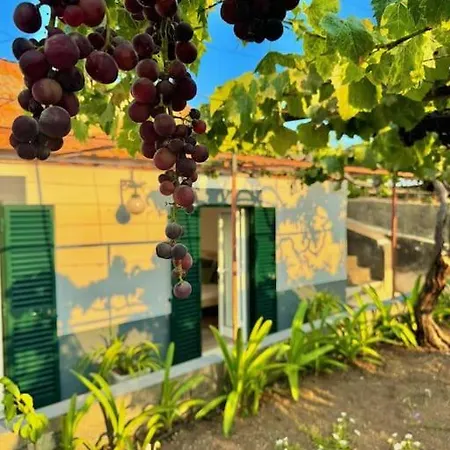 Casa Juliana Дом отдыха Рибейра-Брава