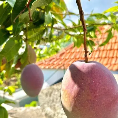 Casa Juliana * Рибейра-Брава