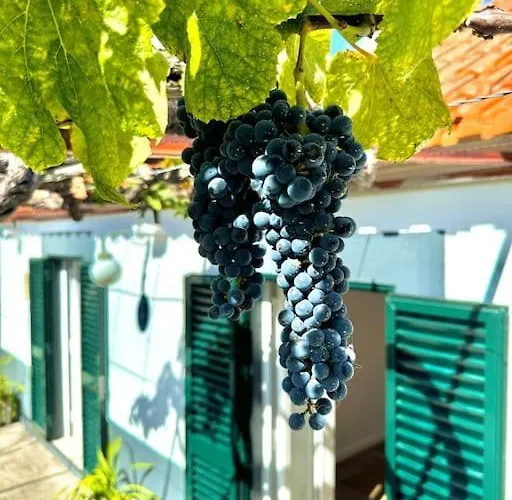 Prázdninový dům Casa Juliana Ribeira Brava