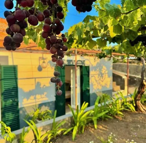 Casa Juliana Casa vacanze Ribeira Brava